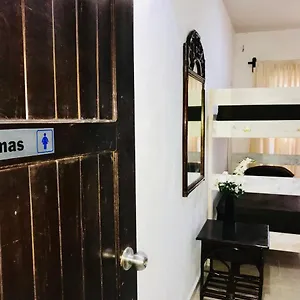 Bunk Bed In Female Playa del Carmen